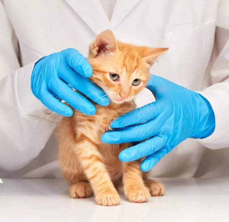 Manusi de protecție din nitril, Albastre, set 100 buc